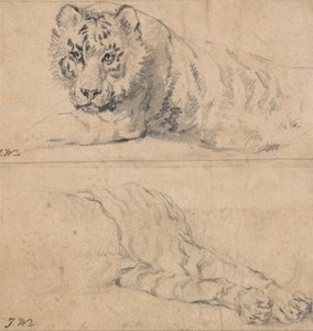Studi di una tigre; sopra, testa e spalle; sotto, quarti posteriori da James Ward